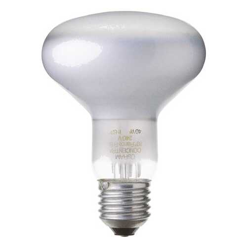 Накаливания Лампочка OSRAM 4050300066066 в Самура