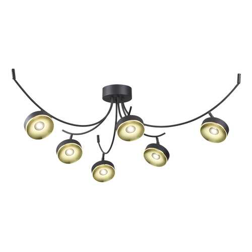 Люстра потолочная Odeon Light 3812/42CL в Самура